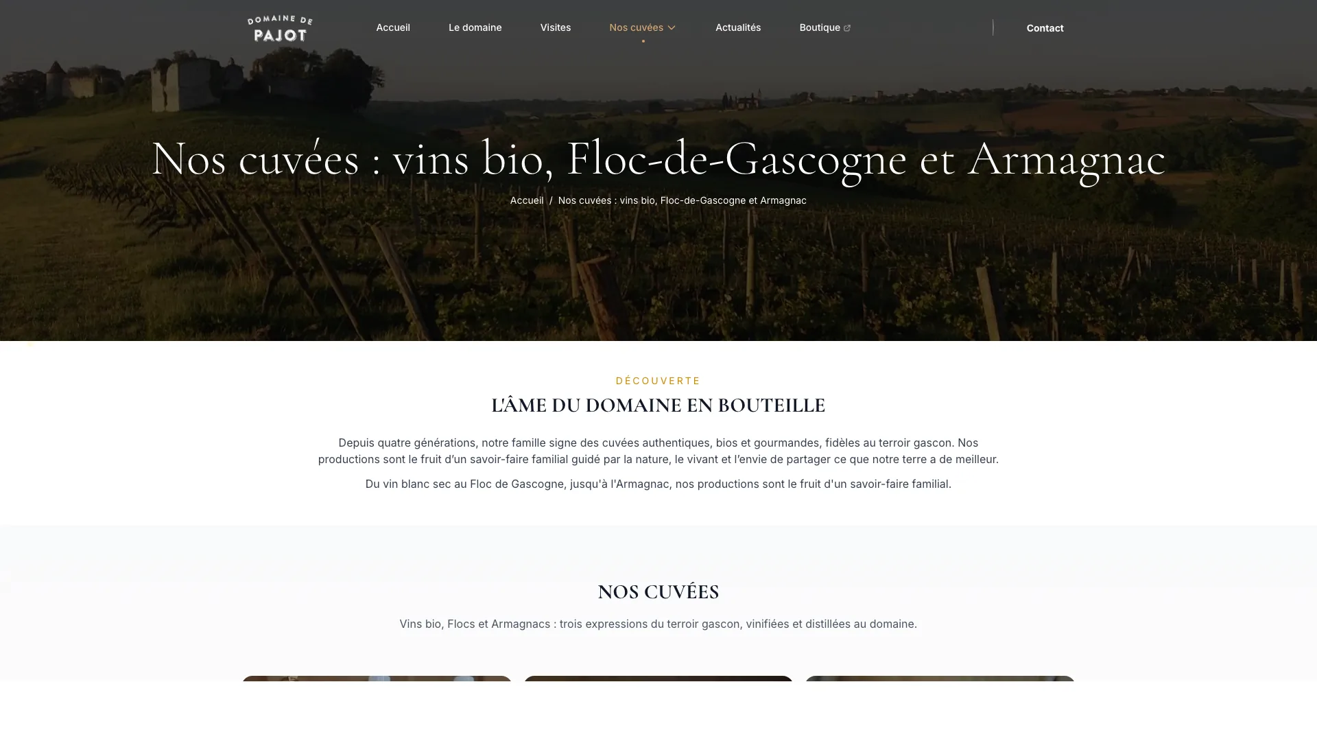 Page Nos cuvées du Domaine de Pajot — SEO et contenu produit